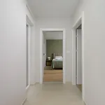 Vila Navi